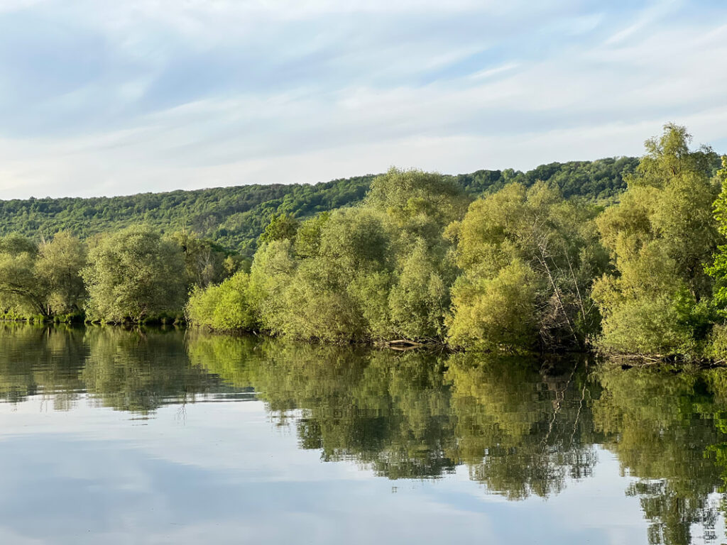 Calm river reflecting green trees under a cloudy sky.